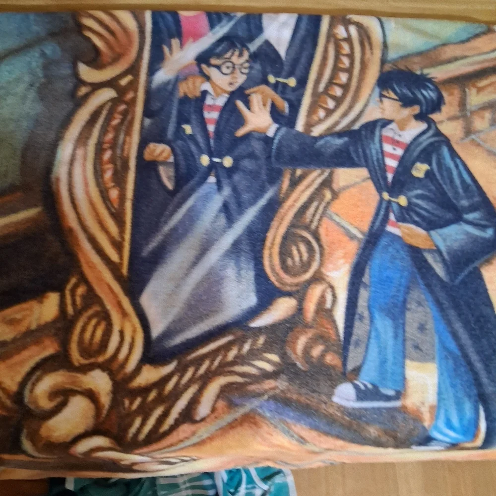 Harry Potter Mirror of Erised Vintage Towel Beach  Warner Brothers 2000